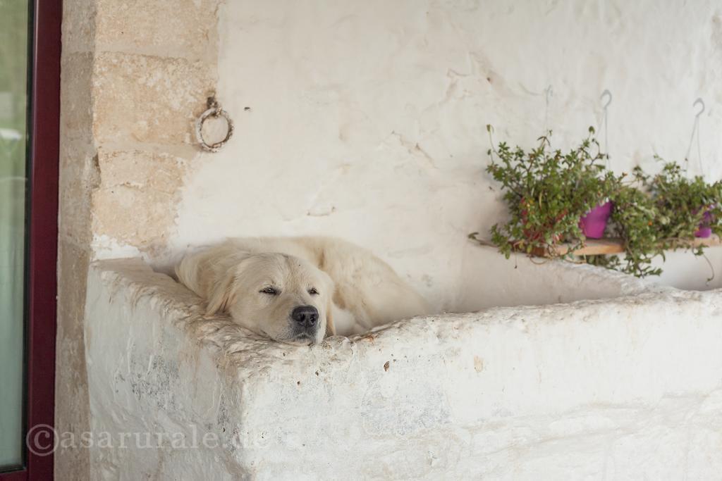 Masseria Ferri Остуни Экстерьер фото